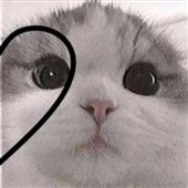 Đ
