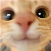 Đ