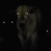 Ô